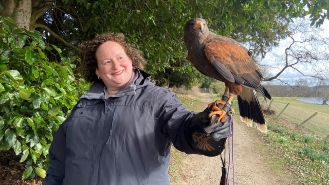 Swinton Birds of Prey Experiences