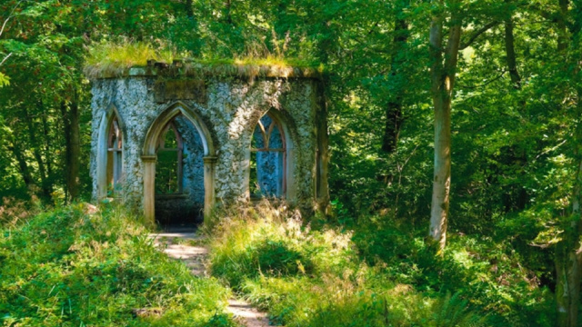 Hackfall Woods