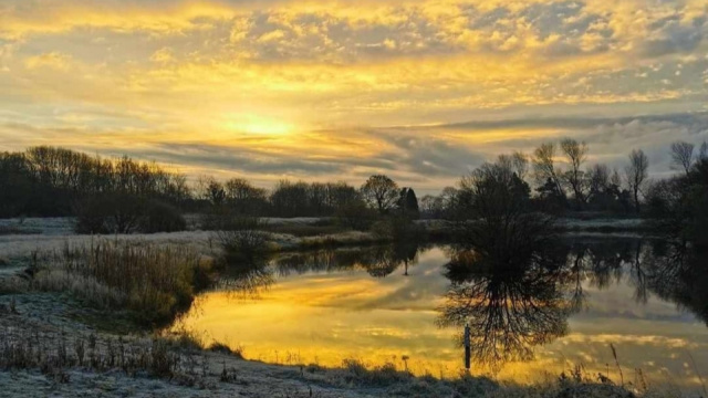 Marfield Wetlands Nature Reserve