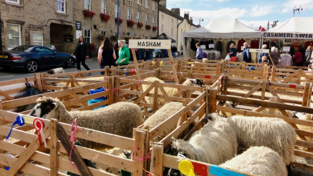 Annual Masham Sheep Fair