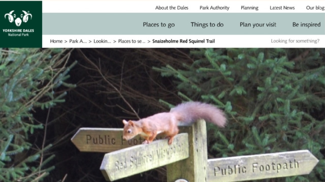 Snaizeholme Red Squirrel Trail