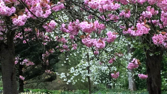 Thorp Perrow Arboretum