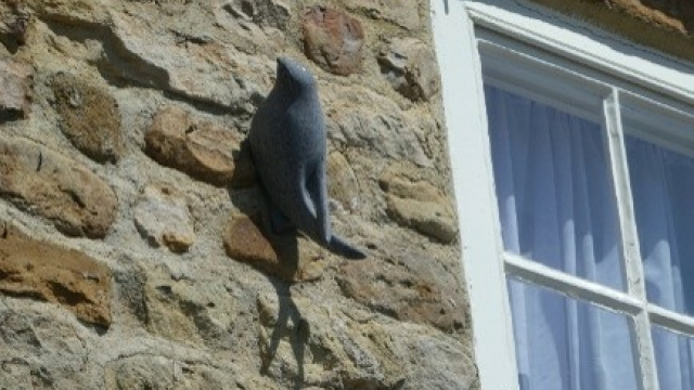 Peeking or perching?
