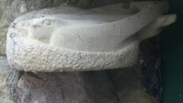 Roosting in stone