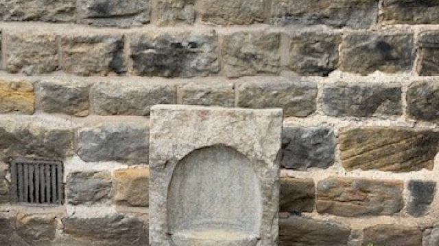 The Acorn