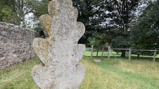 Standing Tree