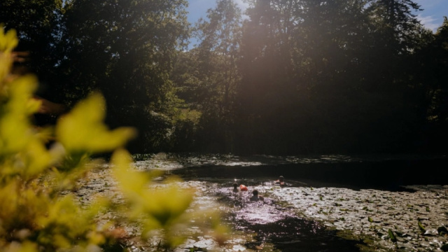 Wild Swimming on the Swinton Estate